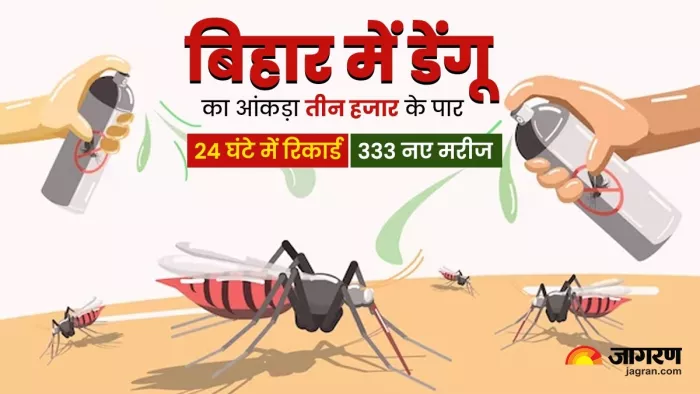 बिहार में डेंगू का आंकड़ा तीन हजार के पार। फोटो जागरण
