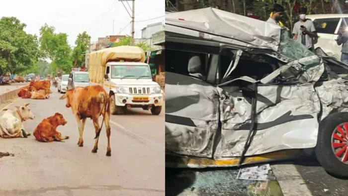 Unnao : हाइवे पर गाय से टकराकर पलटी विधायक की कार; पशु की मौत- बाल-बाल बचे MLA
