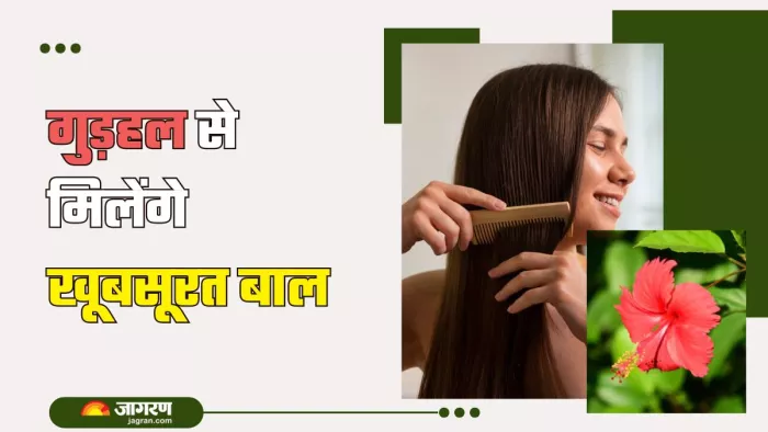 बालों के लिए चमत्कारी साबित हो सकता है गुड़हल! (Picture Courtesy: Freepik)