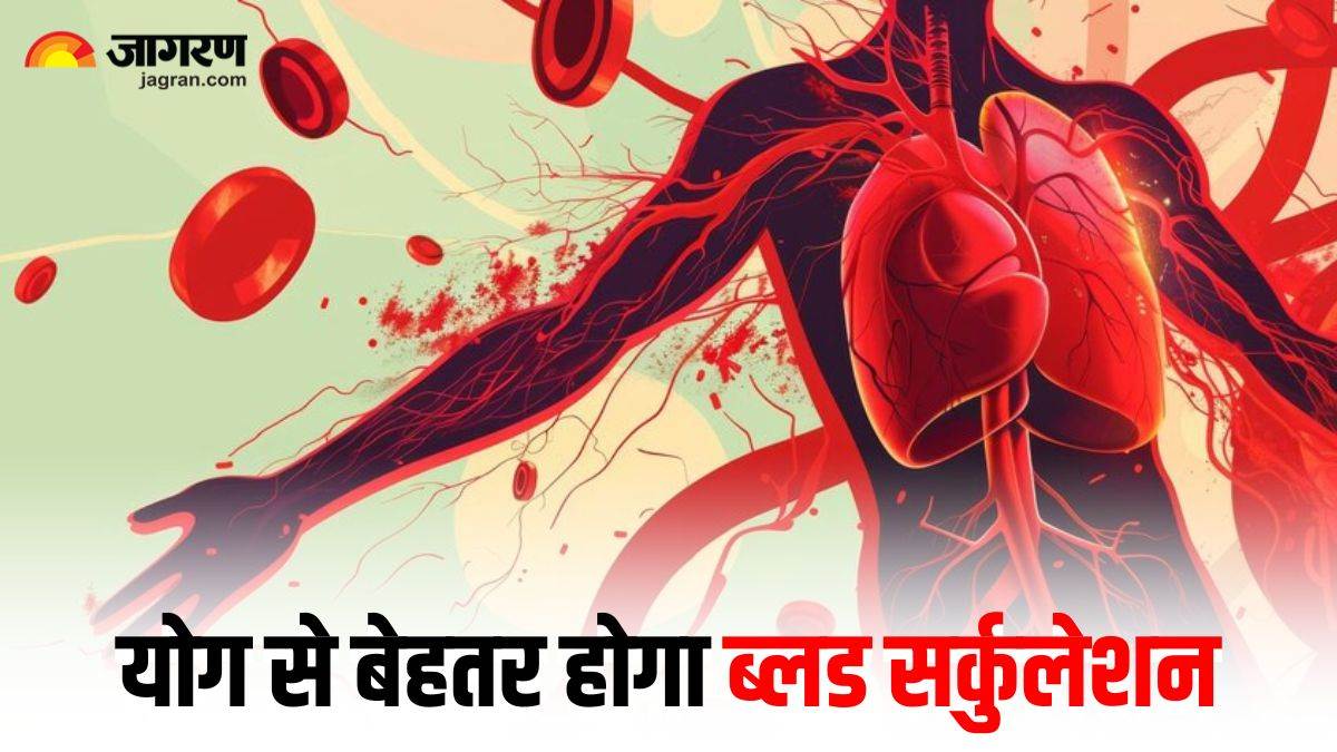 https://www.jagranimages.com/images/newimg/21092024/21_09_2024-improve_blood_circulation_23801349.jpg