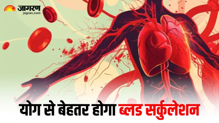 इन योगासन की मदद से बेहतर होगा शरीर में ब्लड सर्कुलेशन (Image Source: AI-generated, Freepik)
