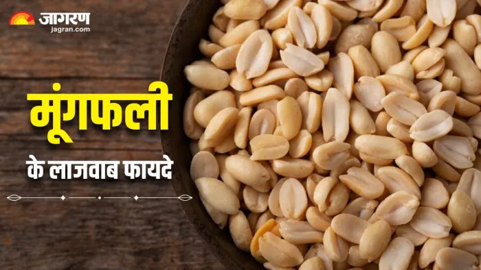 बिस्कुट-नमकीन को कहें अलविदा, हेल्दी स्नैक के तौर पर बेस्ट ऑप्शन है मूंगफली (Image Source: Freepik)