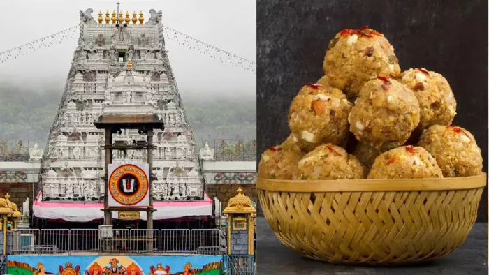 Tirupati laddu Case तिरुपति बालाजी मंदिर के लड्डू प्रसाद पर हंगामा।