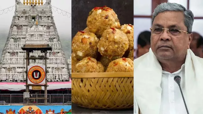 Tirupati Laddu लड्डू विवाद के बाद अब सिद्दरमैया सरकार एक्शन में।