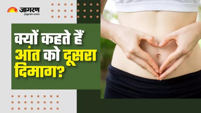 आपका पाचन भी कर सकता है आपकी मेंटल स्टेट को प्रभावित (Picture Courtesy: Freepik)