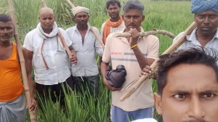भेड़ियों की दहशत से 15 गांवों में रातभर जाग रहे लोग।