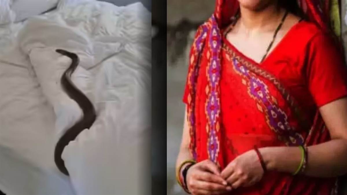 https://www.jagranimages.com/images/newimg/21092025/21_09_2025-snake_bite_kanpur_24054998.jpg