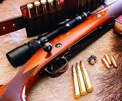 गोरखपुर में दो सौ से अध‍िक शस्‍त्र लाइसेंस गायब हो गए हैं। - प्रतीकात्‍मक तस्‍वीर