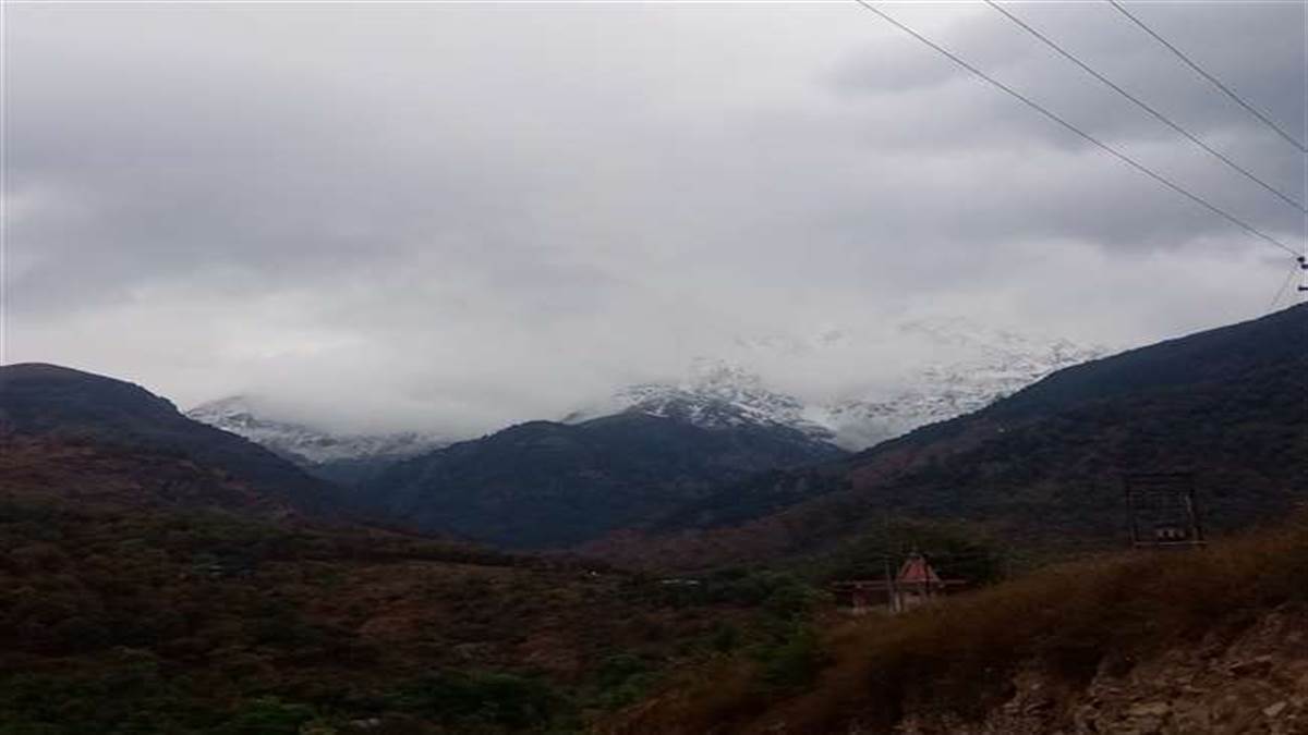 News Article Hero Image