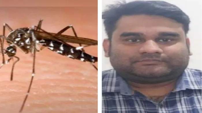सेंट जोसेफ कालेज के डेंगू पीड़ित शिक्षक की मौत हो गई। उनका प्लेटलेट घटकर 25 हजार हो गया था।