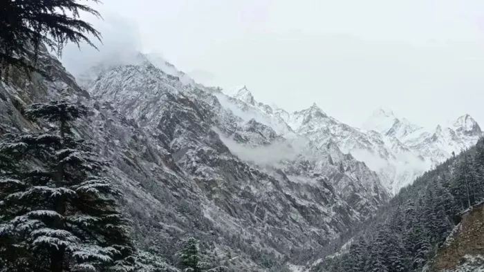 प्रदेश में शुरू हुआ बर्फबारी का दौर, आज मौसम साफ रहने के अनुमान