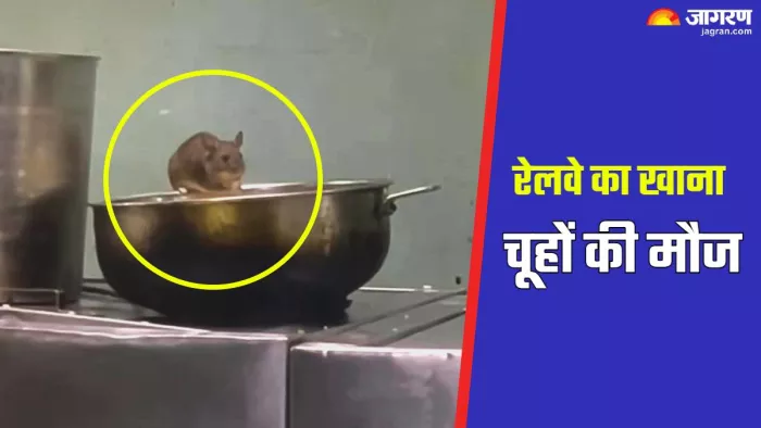 चूहों से रेलवे प्रशासन और यात्री दोनों परेशान हैं। फोटो- जागरण ग्राफिक्स