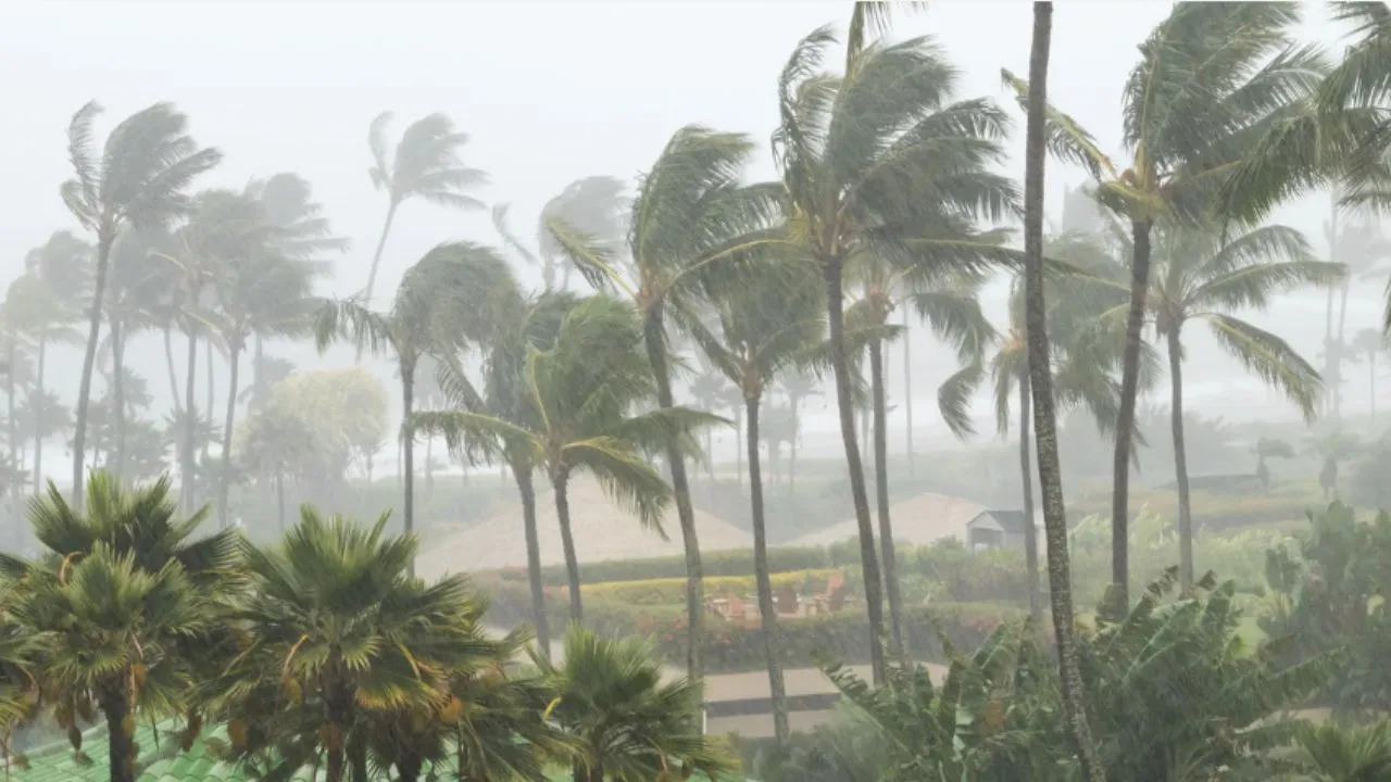 https://www.jagranimages.com/images/newimg/21102024/21_10_2024-cyclone_23819630.jpg