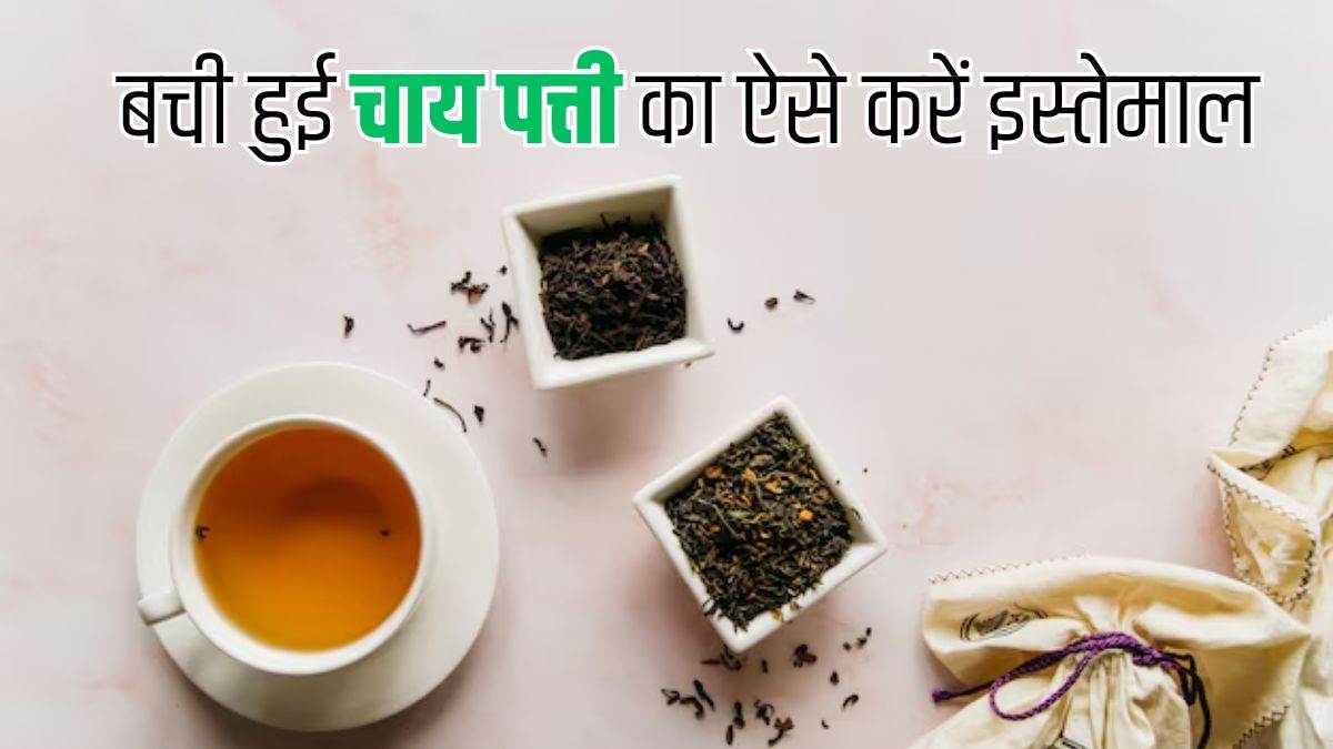https://www.jagranimages.com/images/newimg/21102024/21_10_2024-reuse_tea_leaves_23818952.jpg