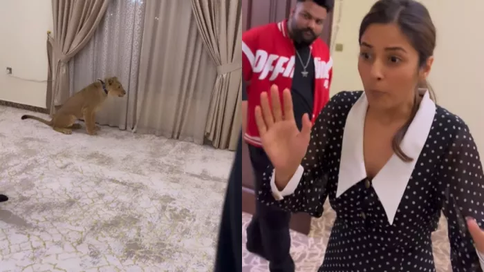 Shehnaaz Gill Video, Shehnaaz Gill, lion cub