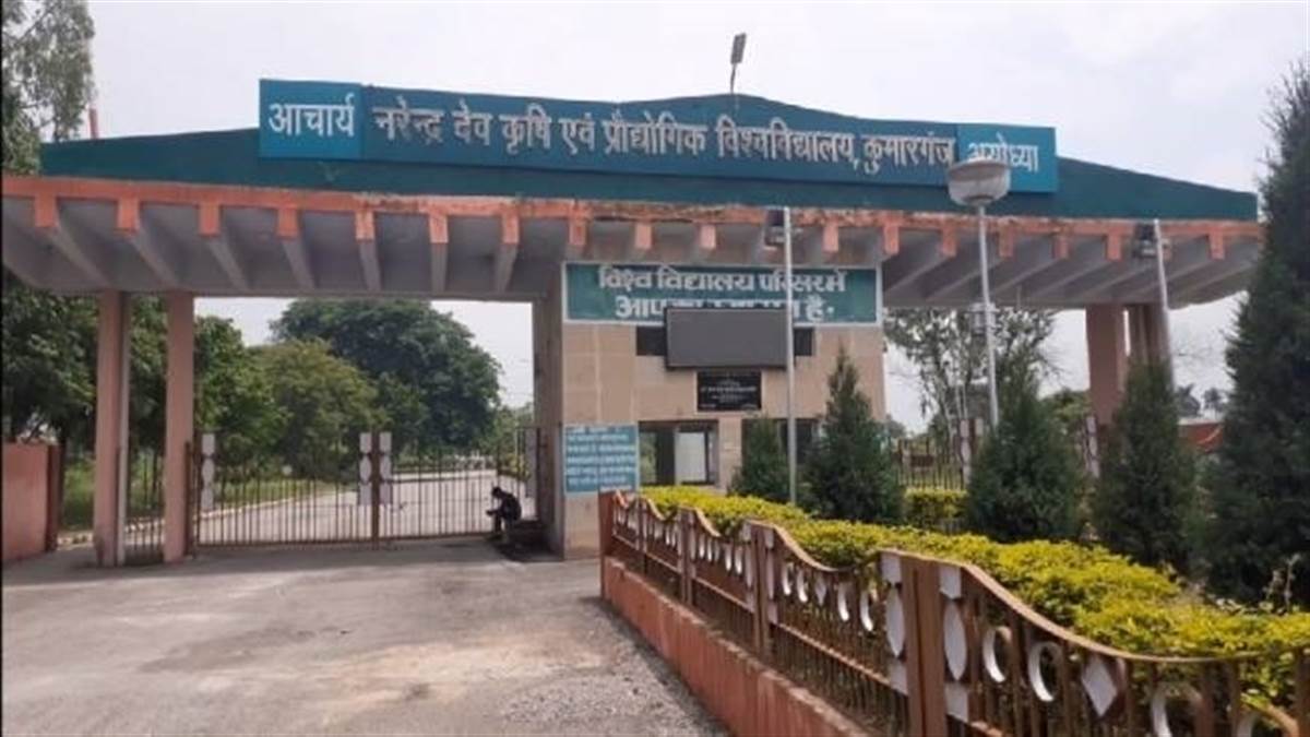 jise chaaho haraam kar do jise bhee chaaho halaal kar do why did employees and teachers get angry at actions of university