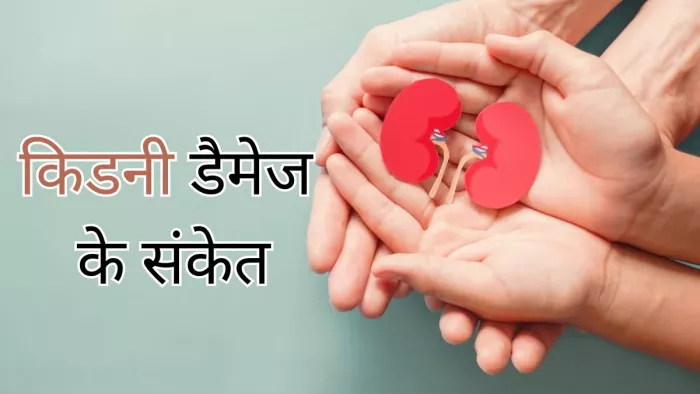 यूरिन में नजर आ रहे इन लक्षणों से करें किडनी डैमेज की पहचान