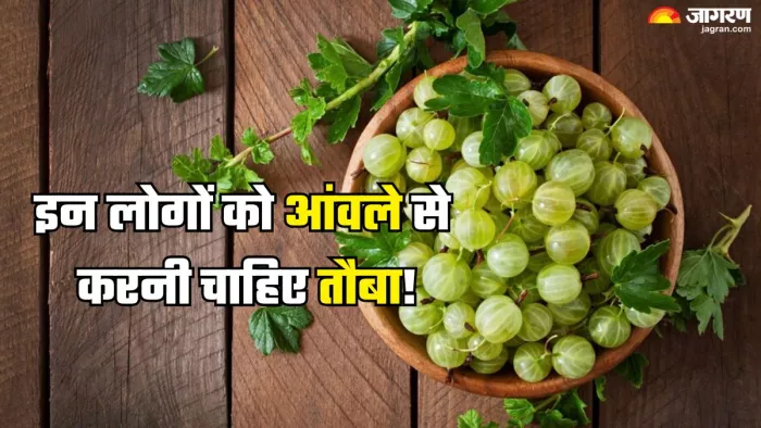 इन लोगों के लिए हानिकारक हो सकता है आंवला (Picture Credit- Freepik)