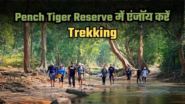 Pench Tiger Reserve में मिलेगा ट्रैकिंग का दोगुना मजा। Picture Credit- Facebook/Madhya Pradesh Tourism