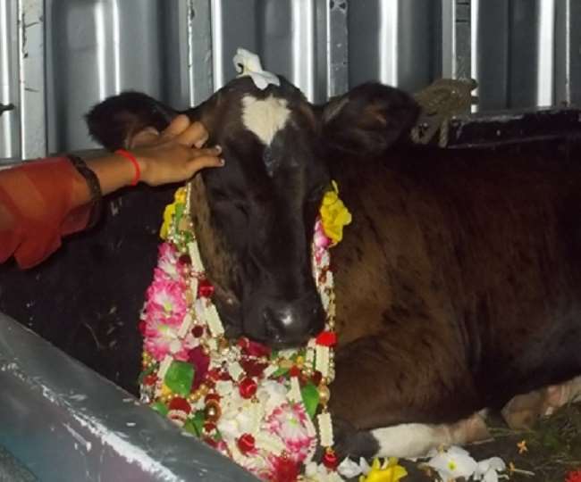 News Article Hero Image