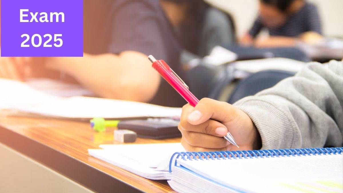 exam 2025 know what is brain rot maori haka and demure questions related to these can be asked in the exam