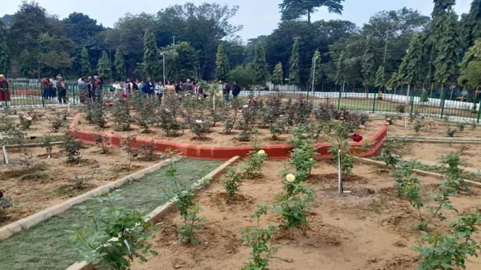 जमशेदपुर रोज गार्डन की झलक (जागरण फोटो)