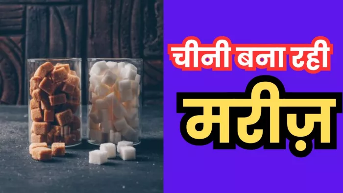 चीनी शरीर में मोटापे का कारण बनती है। (Pic Courtesy : Freepik)