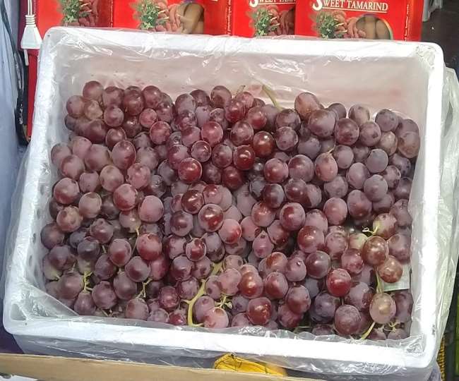 https://www.jagranimages.com/images/newimg/22012021/22_01_2021-red_grappes_21296611.jpg