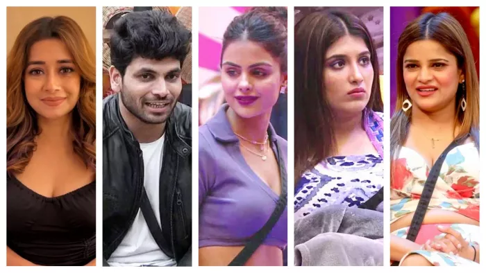 Bigg Boss 16 Top 5 Finalist, Priyanka Chahar Choudhary, Shiv Thakare