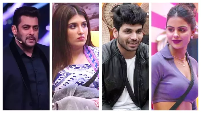 Bigg Boss 16 Winner, Salman Khan praise Priyanka, Priyanka Chahar Choudhary winner,