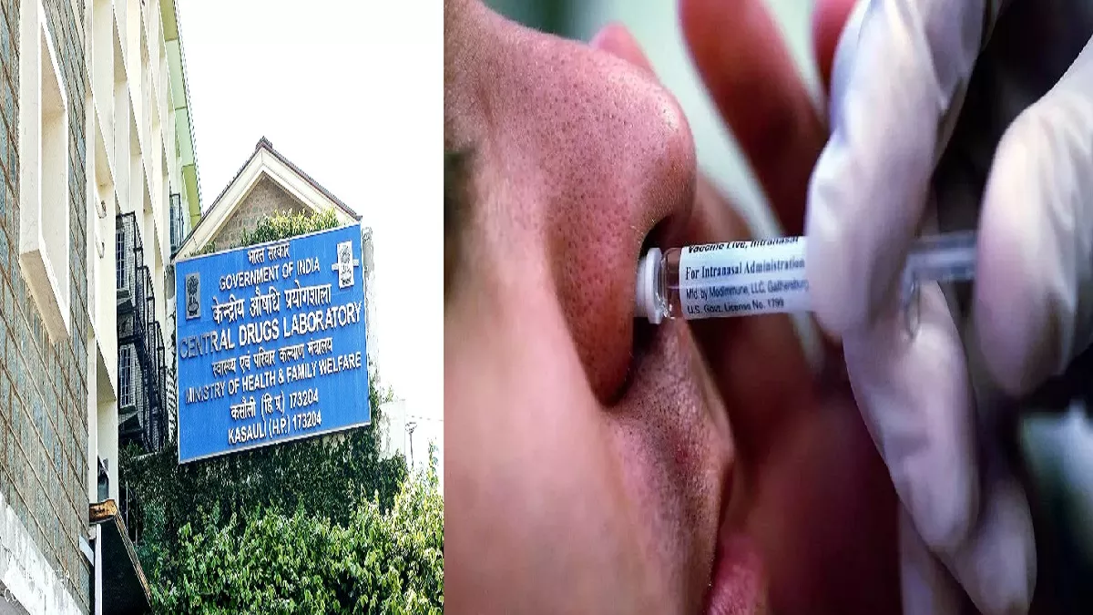 Covid Nasal Vaccine: 26 जनवरी को बाजार में आ सकती है कोरोना नेजल वैक्सीन