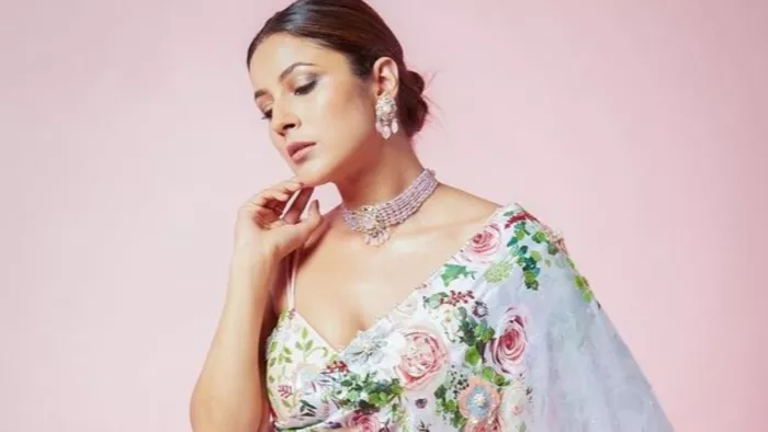 File Photo of Shehnaaz Gill. Photo Credit: Shehnaaz Gill Instagram
