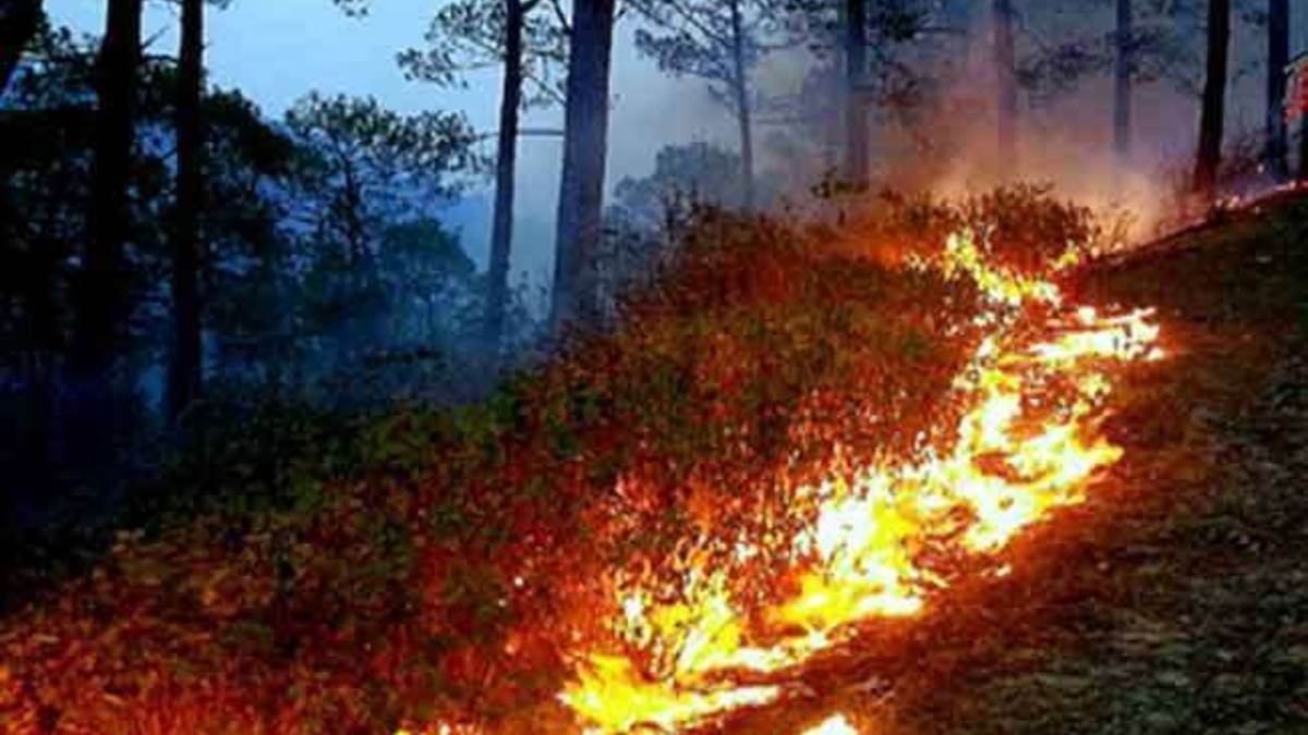 fire emergency declared 26 days before the scheduled date to save the forest in uttrakhand