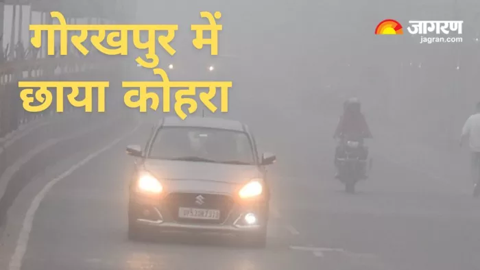 Gorakhpur Fog: सड़क पर धीमी गति से लाईट जलाकर चलते वाहन। जागरण
