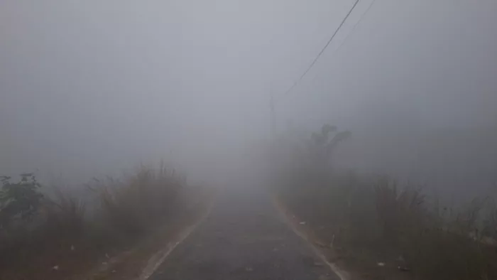 झारखंड के कई जिलों में घने कोहरे का साया (जागरण)