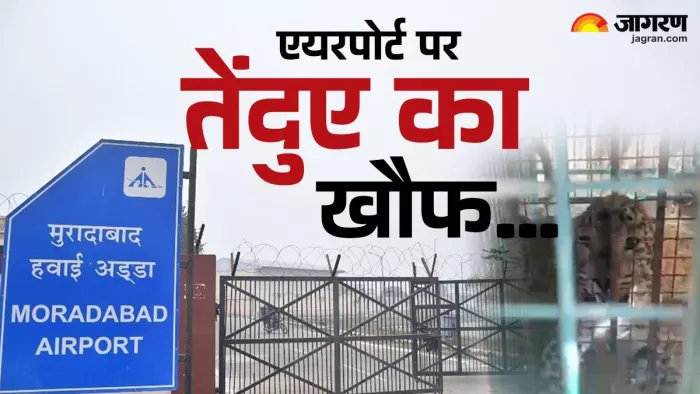 मुरादाबाद एयरपोर्ट पर दिखे तेंदुए, दहशत में कर्मचारी।