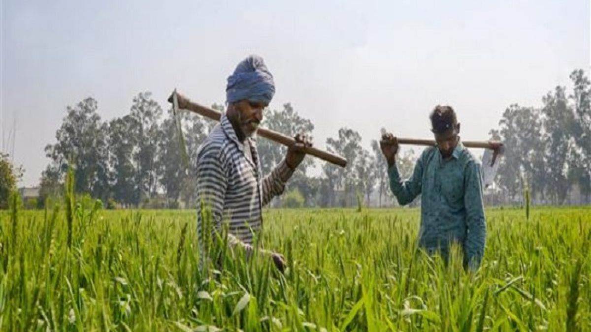 https://www.jagranimages.com/images/newimg/22012025/22_01_2025-punjab_kisan_2_23871177.jpg