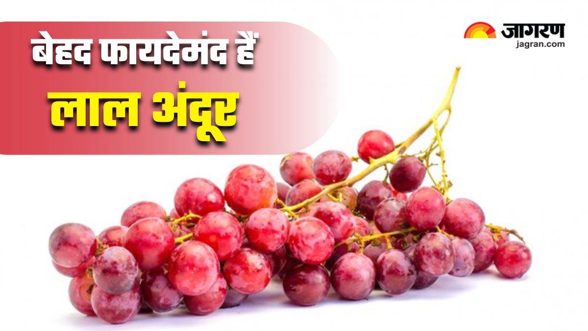 https://www.jagranimages.com/images/newimg/22012025/22_01_2025-red_grapes_benefits_23871256.jpg