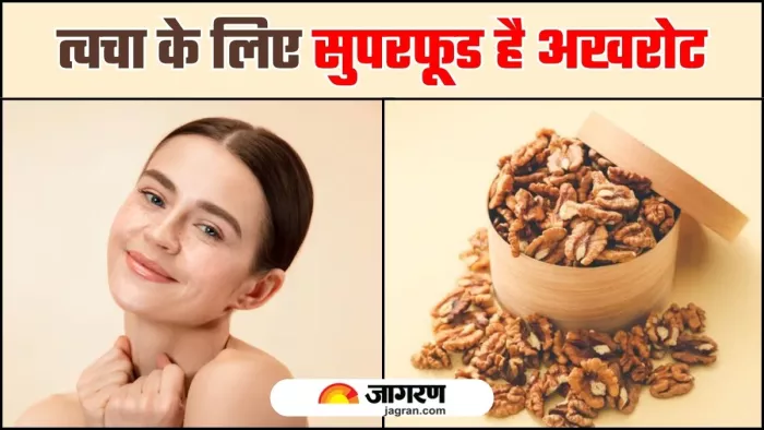 5 वजहों से त्वचा के लिए फायदेमंद होते हैं अखरोट (Image Source: Freepik)