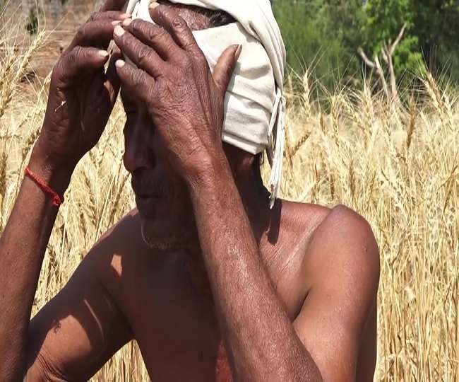 https://www.jagranimages.com/images/newimg/22022021/22_02_2021-farmer_21394836.jpg