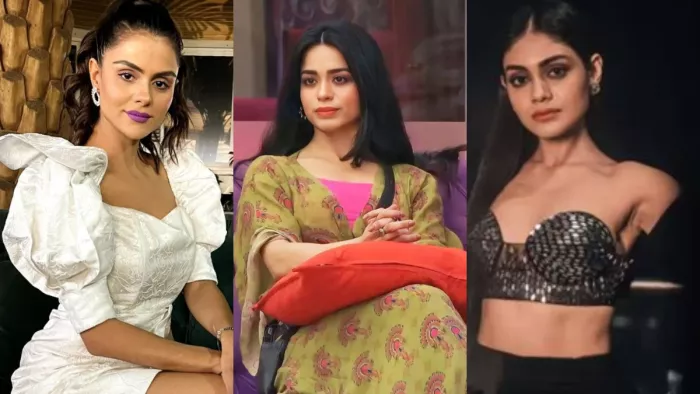 Bigg Boss 16 Contestant To Participate In Rohit Shetty Show Khatron Ke Khiladi 13, Instagram
