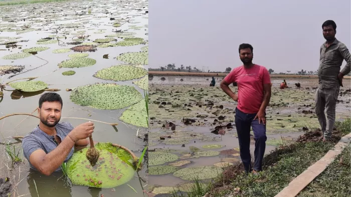 बाढ़ के अभिशाप को मखाना की खेती कर वरदान में बदलते धीरेंद्र। (जागरण फोटो)