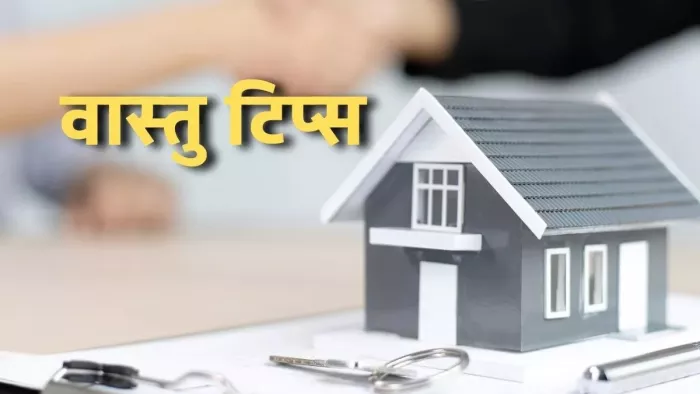 Vastu Tips: घर और ऑफिस से जुड़ी वास्तु टिप्स