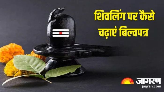Mahashivratri 2025: शिवलिंग पर बिल्वपत्र चढ़ाने से जुड़े नियम