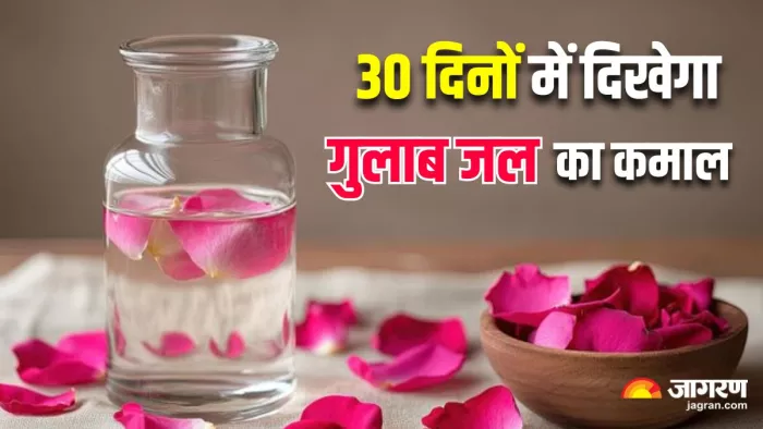 इन 3 चीजों को गुलाब जल में मिलाकर रोज करें Face Massage (Image Source: Freepik)