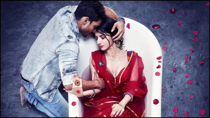 सनम तेरी कसम ने बॉक्स ऑफिस पर किया इतना कलेक्शन। फोटो क्रेडिट- एक्स