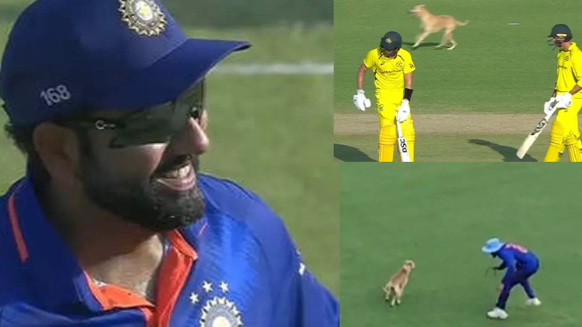Ind vs Aus 3rd ODI, Dog Enters Ground, Rohit Sharma Reaction