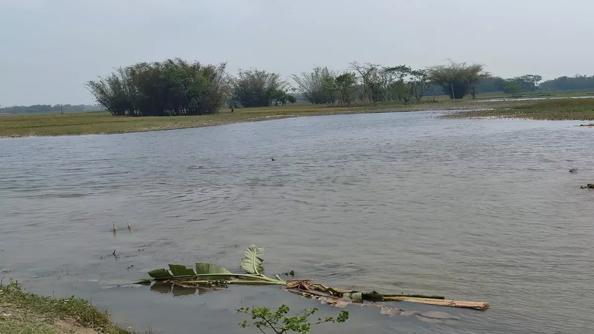 Supaul News: सुपौल में अचानक टूटा नहर, कई खेतों में घुस गया पानी; किसानों को लाखों का नुकसान