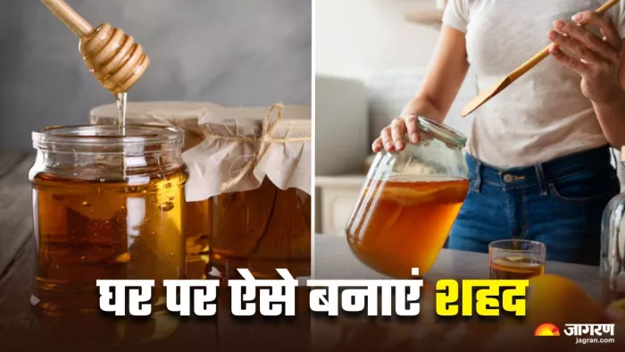 Homemade Honey: इस आसान रेसिपी से घर पर ही बनाएं शहद (Image Source: Freepik)