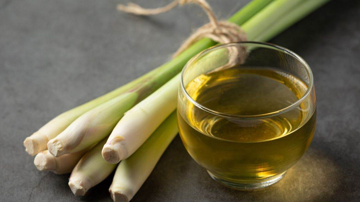 lemongrass tea benefits 5 health benefits you did not know check the amazing facts details here